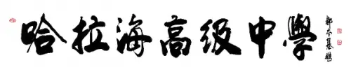 invalid image (求真务实)